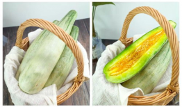 蜜瓜视频,探索美食与生活的甜蜜瞬间